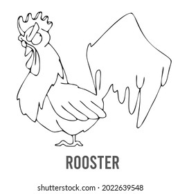 Rooster Coloring page for preschool children. Learn numbers for kindergartens and schools. Educational game.