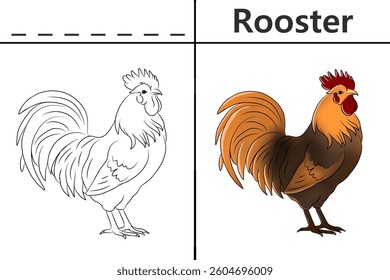 Rooster coloring pages for kids and learn to recognize letters, animal recognition card media for various games in early childhood learning