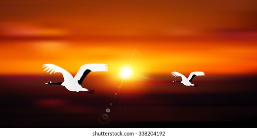 Rooster crane sunrise background