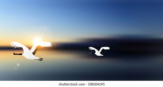 Rooster crane sunrise background