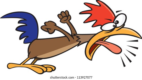 Rooster crowing in the early morning