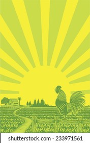 Rooster crowing at rice field in the morning with sun rising background in woodcut style