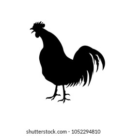 Rooster crowing silhouette. Vector illustration isolated on white background