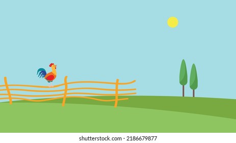 Gritos de gallo sentados en la valla