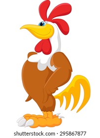 Rooster cute posing