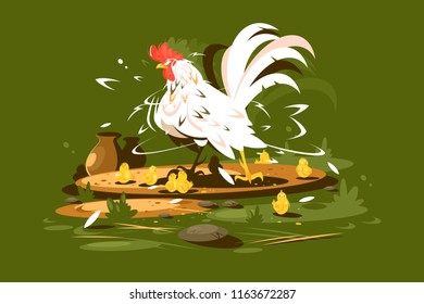 Rooster daddy with yellow chickens. Bird family on farm. Vector illustration