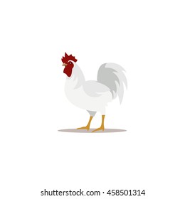 Rooster Design Vector. Flat style