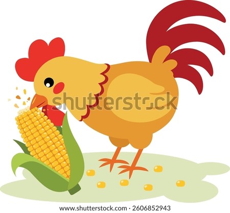 Rooster eating a cob of sweet corn