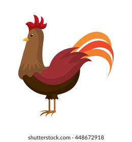 Rooster farm animal cartoon, isolated icon vector illustration graphic.
