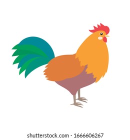 rooster, farm animal. Isolated vector illustration