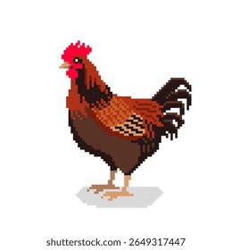 Rooster Farm animal pixel art. Ilustração de vetor