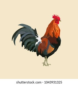 Rooster farm animal vector illustration 