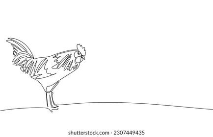 Rooster, farm bird. Continuous line one drawing. Vector illustration. Simple line illustration.