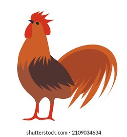 rooster, flat design on white background, isolated, vector