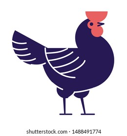 Rooster flat vector illustration. Dark blue cock isolated on white background. Poultry farm, hennery cartoon logo.  Domestic bird breeding, chicken meat production design element with outline