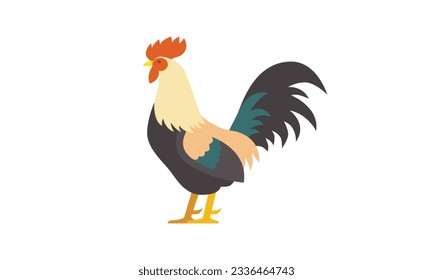 rooster flat vector illustration isolated on white background