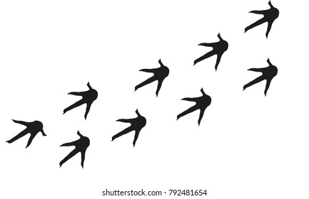 Rooster Foot Print Wallpaper Silhouette, Chicken Walking Foot Print Vector