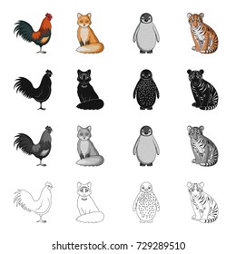 Rooster, fox, tail, and other web icon in cartoon style.Animals, bird, domestic, icons in set collection.
