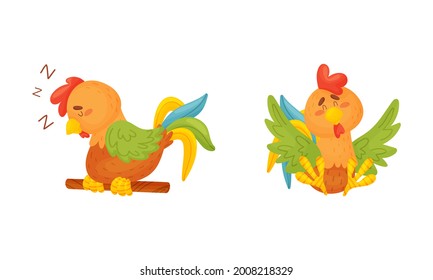 Rooster Funny Character with Bright Feathers Sitting and Sleeping on Perch Vector Set
