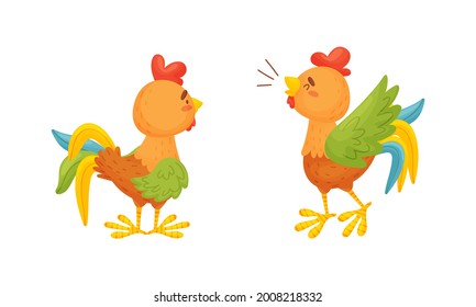Rooster Funny Character with Bright Feathers Standing and Singing Vector Set