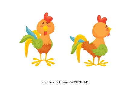 Rooster Funny Character with Bright Feathers Standing Vector Set