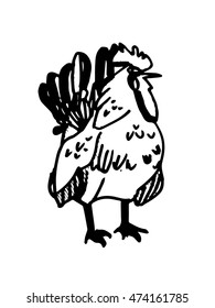 Rooster hand drawing