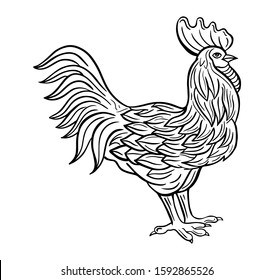 rooster hand drawn engraved sketch drawing vector illustration