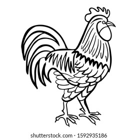 rooster hand drawn engraved sketch drawing vector illustration