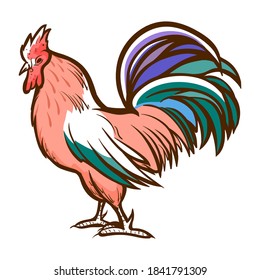 Rooster hand drawn icon. Cockerel, cock, red junglefowl. Domestic bird. Barnyard fowl. Hennery. Livestock, farmyard. Vector zoology illustration for market packaging, labels, children books.