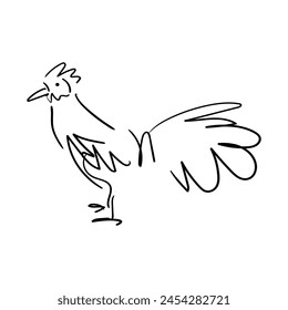 Rooster hand drawn vector illustration.