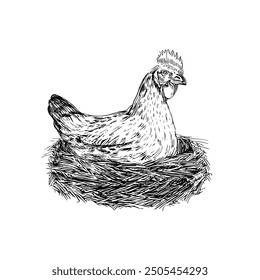 Rooster, Hand-Drawn Vector, Graphic Style, Cartoon Illustration, Black and White, Sketch Style, Isolated on White Background