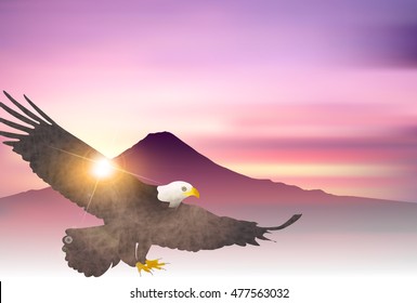 Rooster hawk New Year's card background