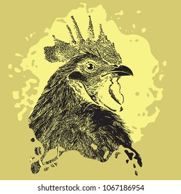 Rooster head close-up. 
Black and white illustration. Realistic vector image of poultry chicken as a design element for logo, icon, template, label.