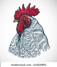 Rooster head in graphic style and painted in color.