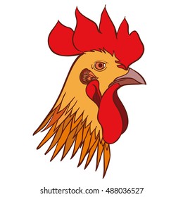 Rooster head. Hand Drawn sketch rooster portrait. Rooster isolated. vector