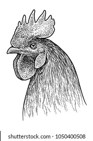 Rooster head portrait illustration, drawing, engraving, ink, line art, vector