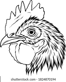 Rooster head, realistic vector illustration graphics art
