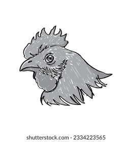 Rooster head vector illustration in sketch and hand drawn style. Suitable for children's and educational posters