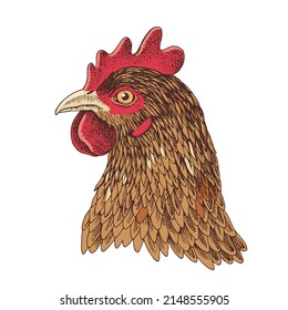 Rooster head. Vector vintage engraving.