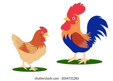 Rooster and hen cartoon design vector illustration isolated on white background