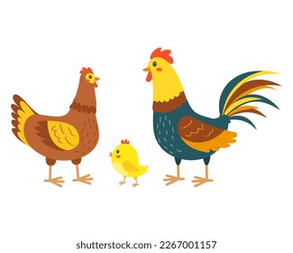 Rooster with hen and chick. Cute chicken family on the farm. Vector illustration.