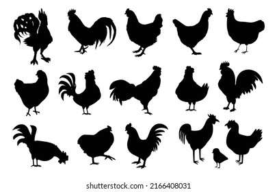 Rooster hen chicken animal poultry farm character Silhouettes premium vector templates