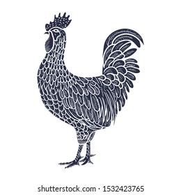 Rooster. Hen or chicken hand drawn with contour lines on white background. Elegant monochrome drawing of domestic farm poultry bird. illustration in vintage woodcut, engraving or etching style. Vector