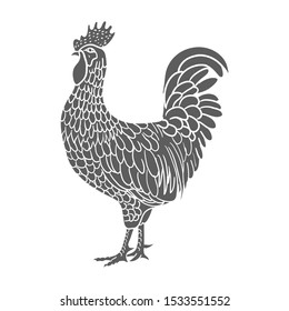 Rooster. Hen or chicken hand drawn with contour lines on white background. Elegant monochrome drawing of domestic farm poultry bird. illustration in vintage woodcut, engraving or etching style. Vector