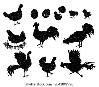 Rooster, hen and chicken silhouettes for vintage logo and labels. Poultry icons for meat and egg products. Domestic birds family vector set. Growing baby hatched from eggshell, nest with eggs