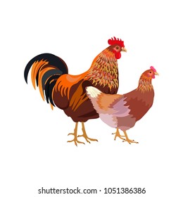 Rooster and hen couple. Vector illustration isolated on white background