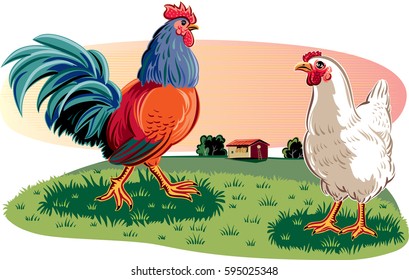 Rooster and hen in a meadow.