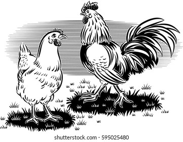 Rooster and hen in a meadow.