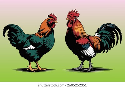 Rooster and Hen Picture. Vector Illustration or Icon