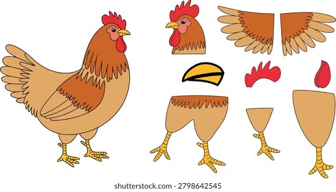 Rooster and hen, separate chicken body parts, wings, head, legs, body, farm bird illustration.